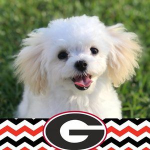 Meet your Posher, Joe ann